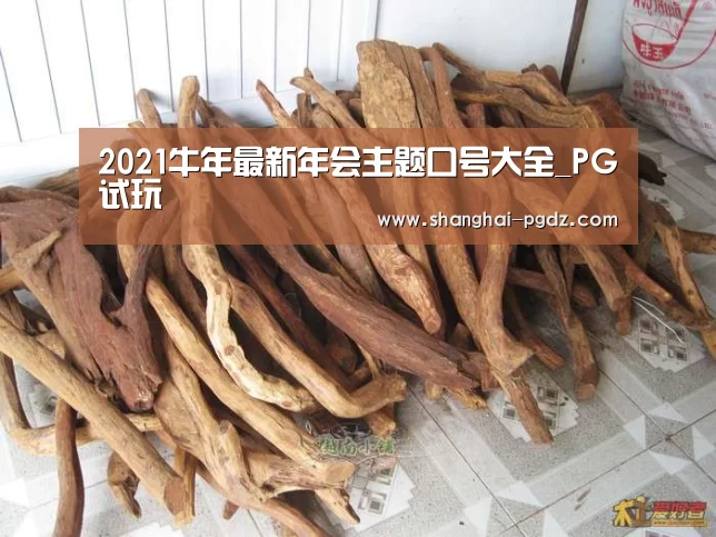 PG试玩